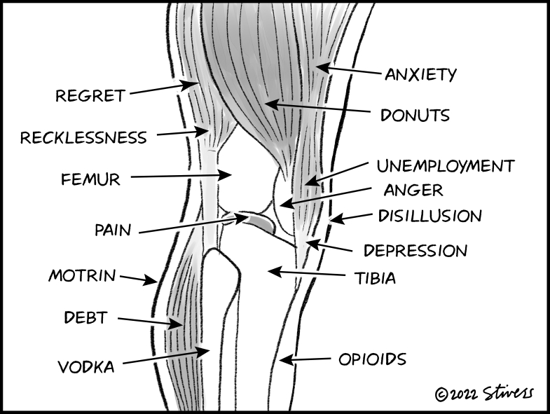 Knee diagram